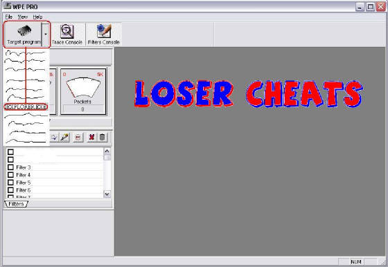 wpe2.jpg